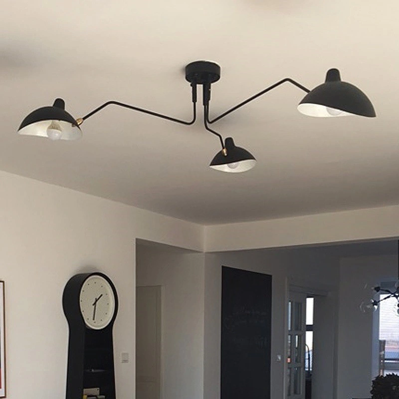 ceiling light