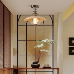 Ceiling Light