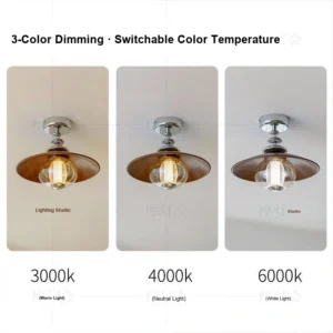 Ceiling Light