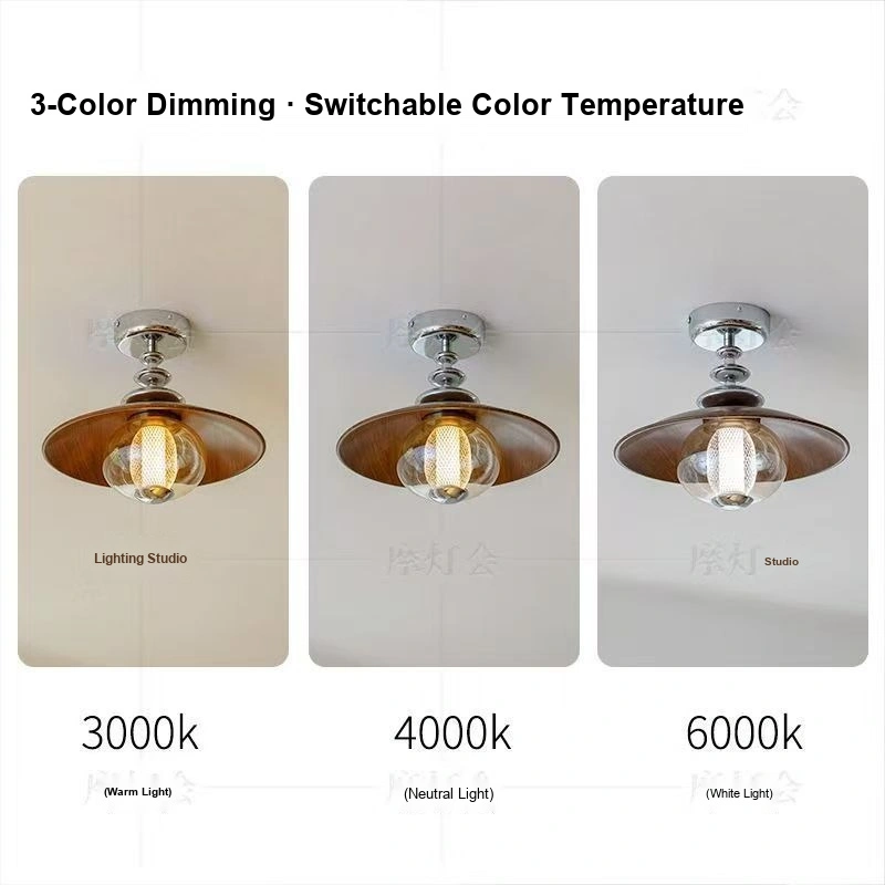 Ceiling Light